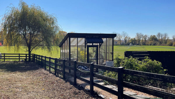 Lean-To Greenhouse - Image 2