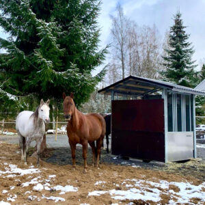 automatic hay feeder