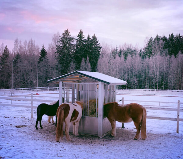 9 feeding places - Image 3